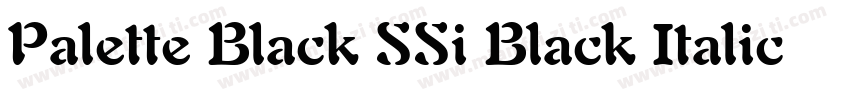 Palette Black SSi Black Italic字体转换